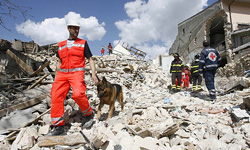 آمادگی ایران برای کمک به زلزله‌زدگان ترکیه